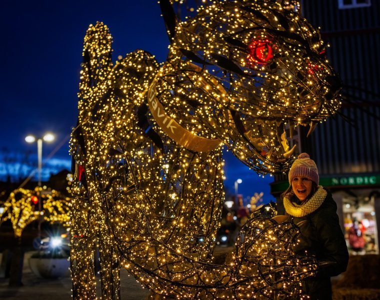 Golden Circle & Reykjavík Christmas Walk