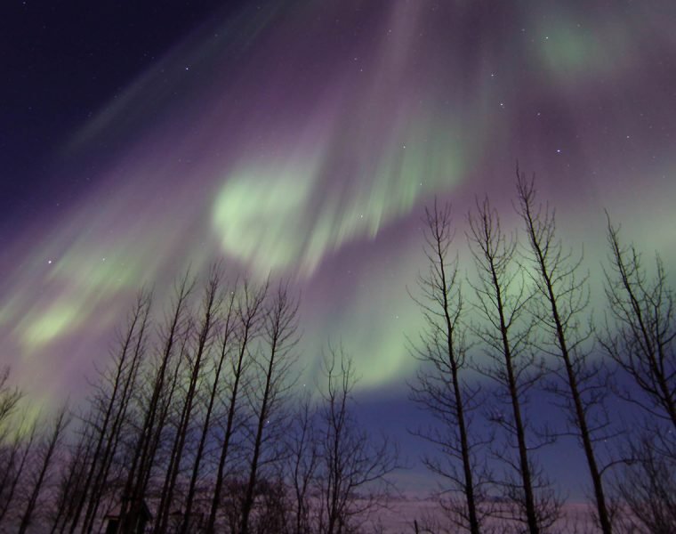 Northern Lights Tour