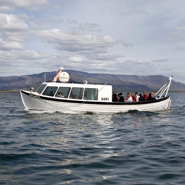 Puffin Express